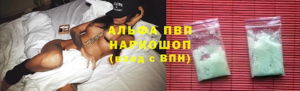 ПСИЛОЦИБИНОВЫЕ ГРИБЫ Инсар