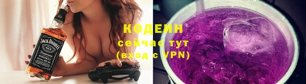 ПСИЛОЦИБИНОВЫЕ ГРИБЫ Инсар