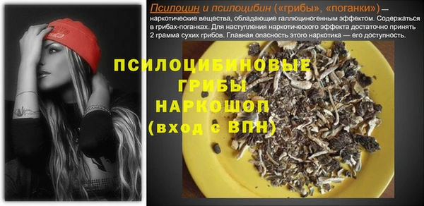 ПСИЛОЦИБИНОВЫЕ ГРИБЫ Инсар