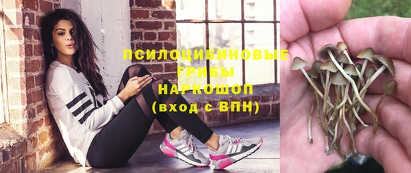 ПСИЛОЦИБИНОВЫЕ ГРИБЫ Инсар