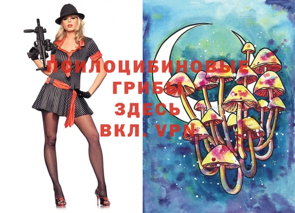 мдма Инта