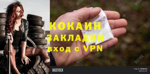 ПСИЛОЦИБИНОВЫЕ ГРИБЫ Инсар