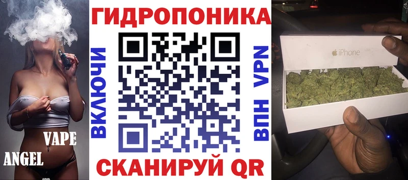 Купить закладки  Заволжск  Марихуана индика 